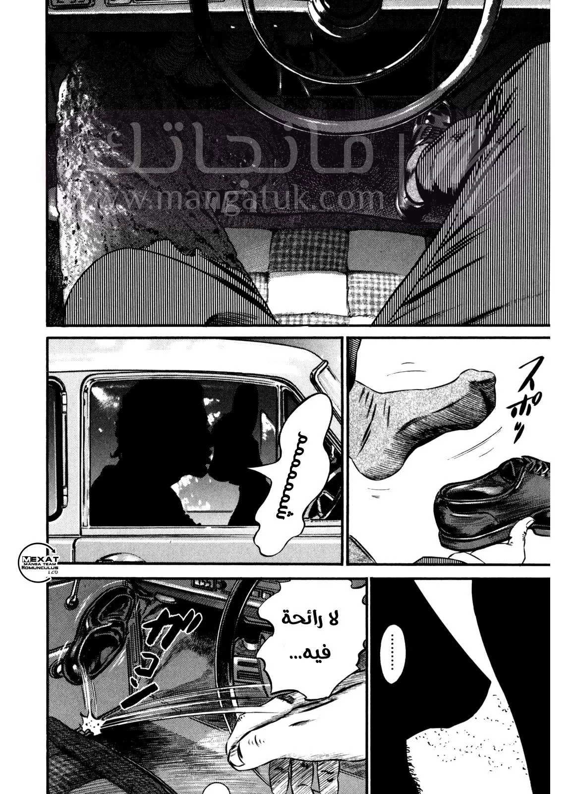 الصفحة 29