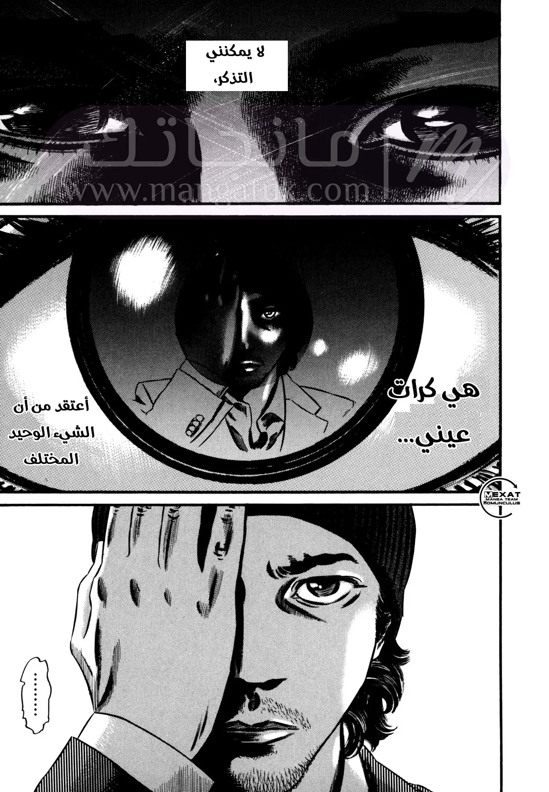 الصفحة 42