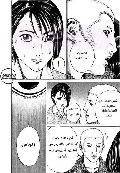 الصفحة 14