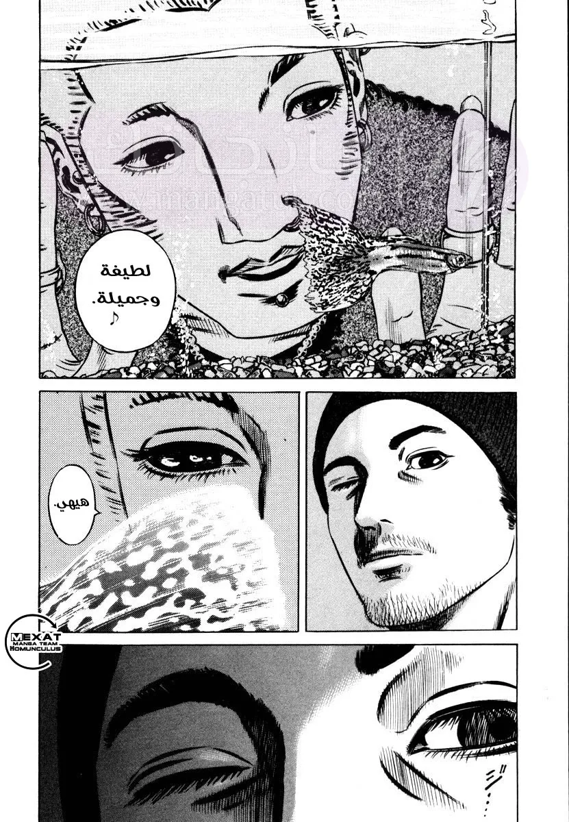 الصفحة 8