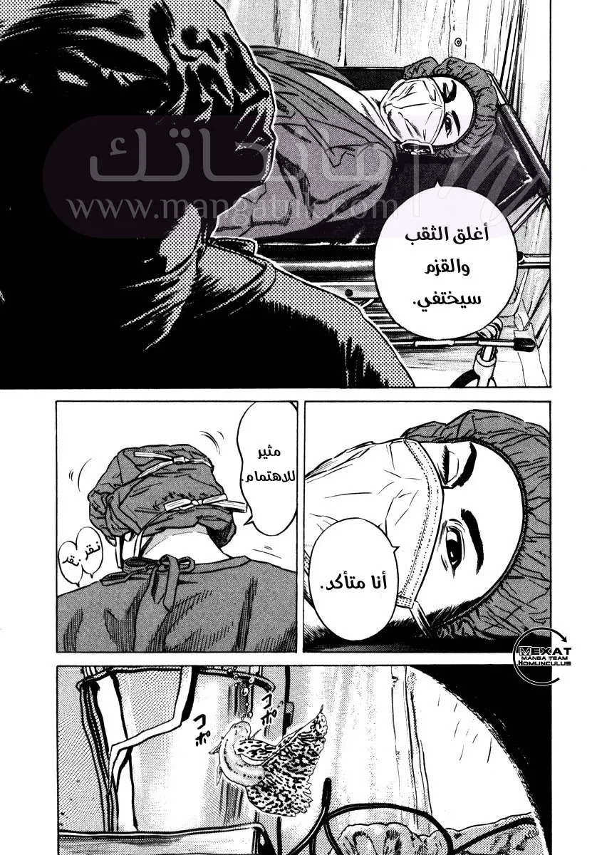 الصفحة 17