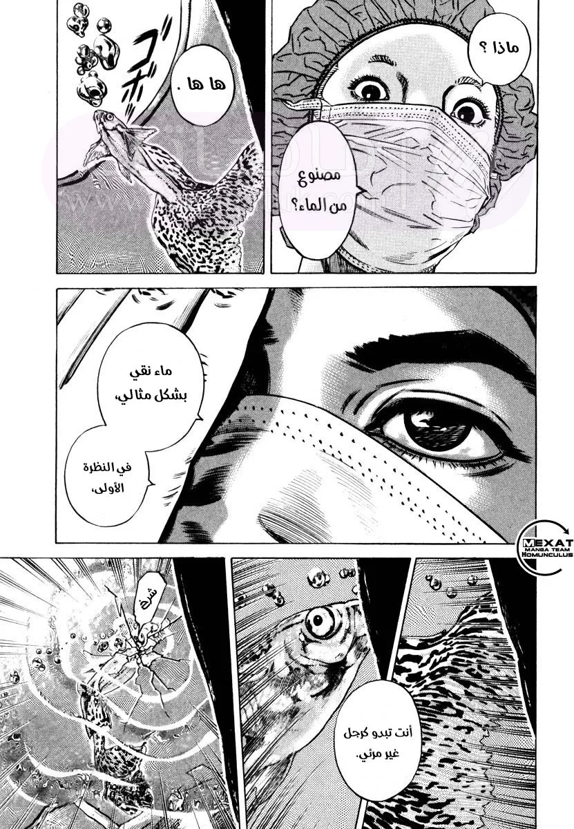 الصفحة 21