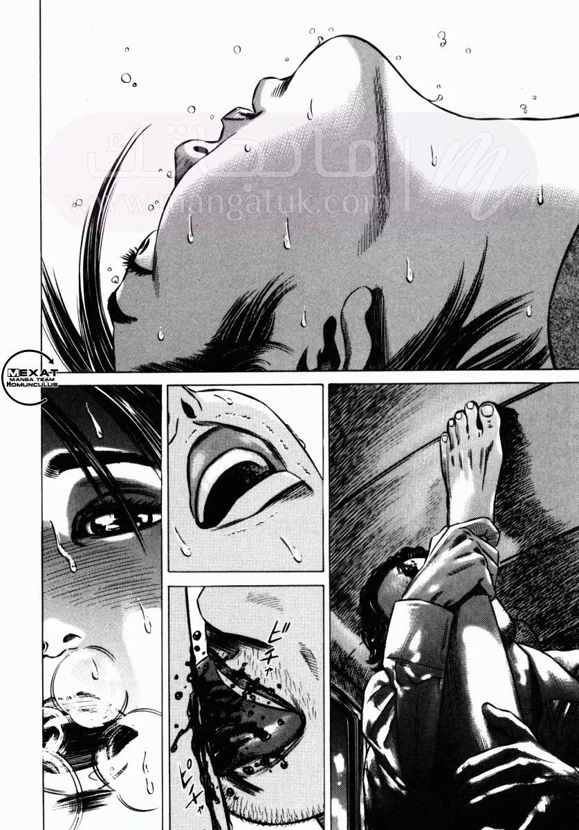 الصفحة 5