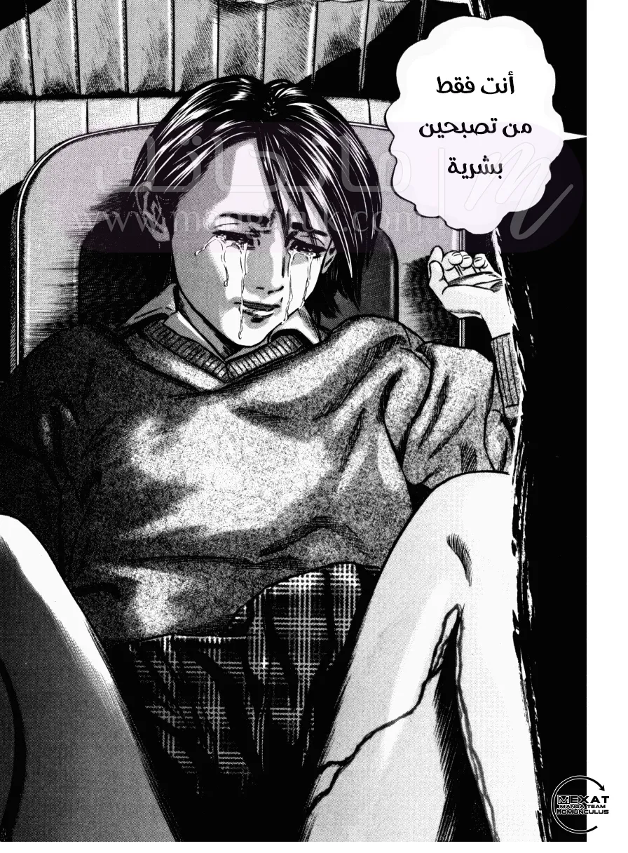 الصفحة 17