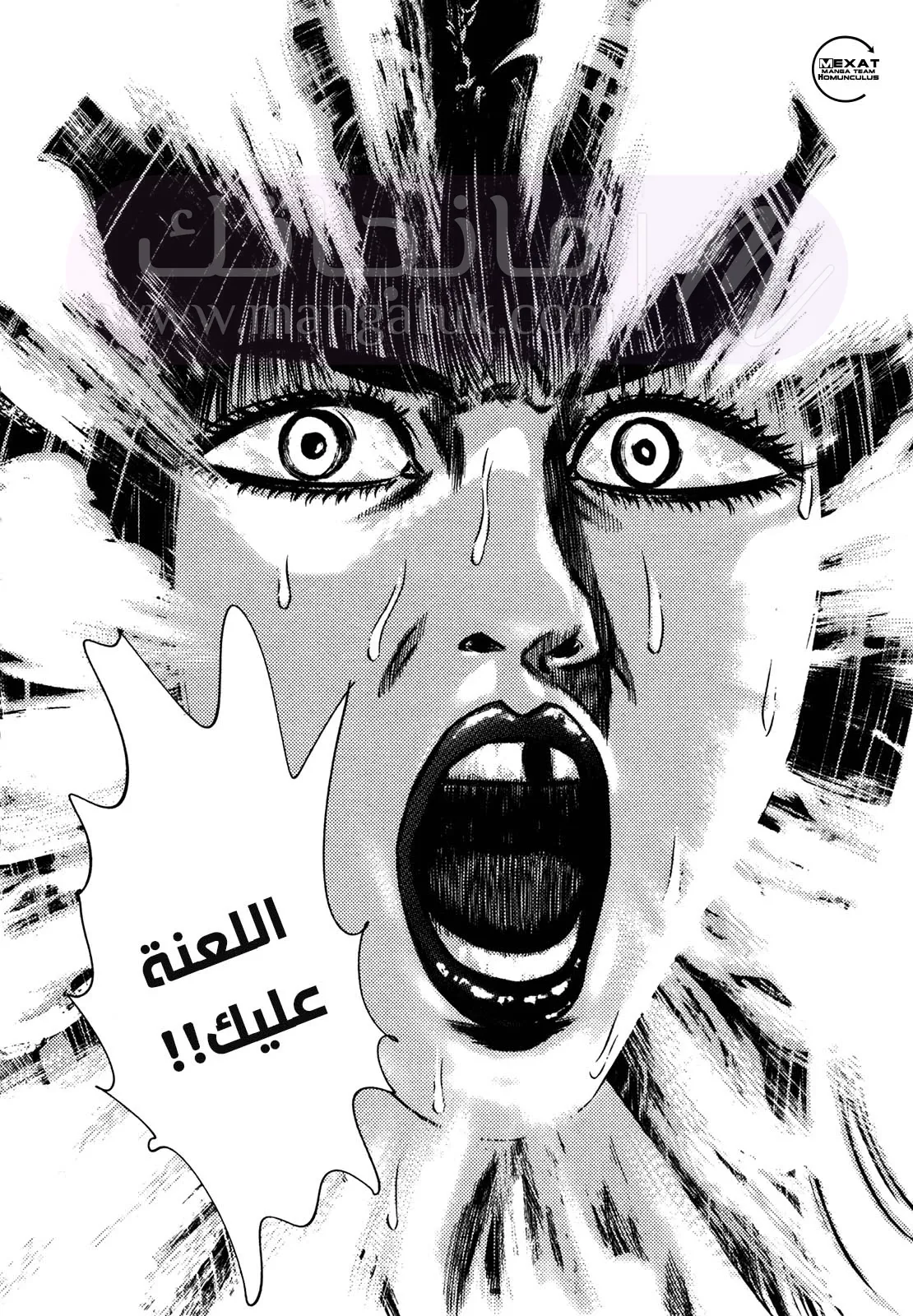 الصفحة 39