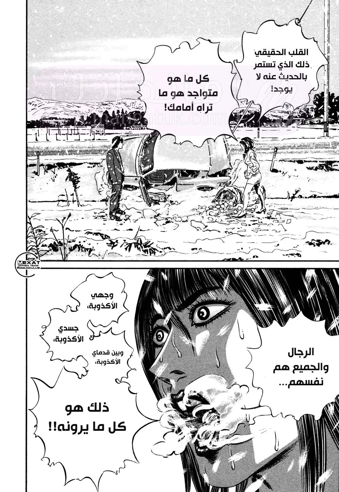 الصفحة 41