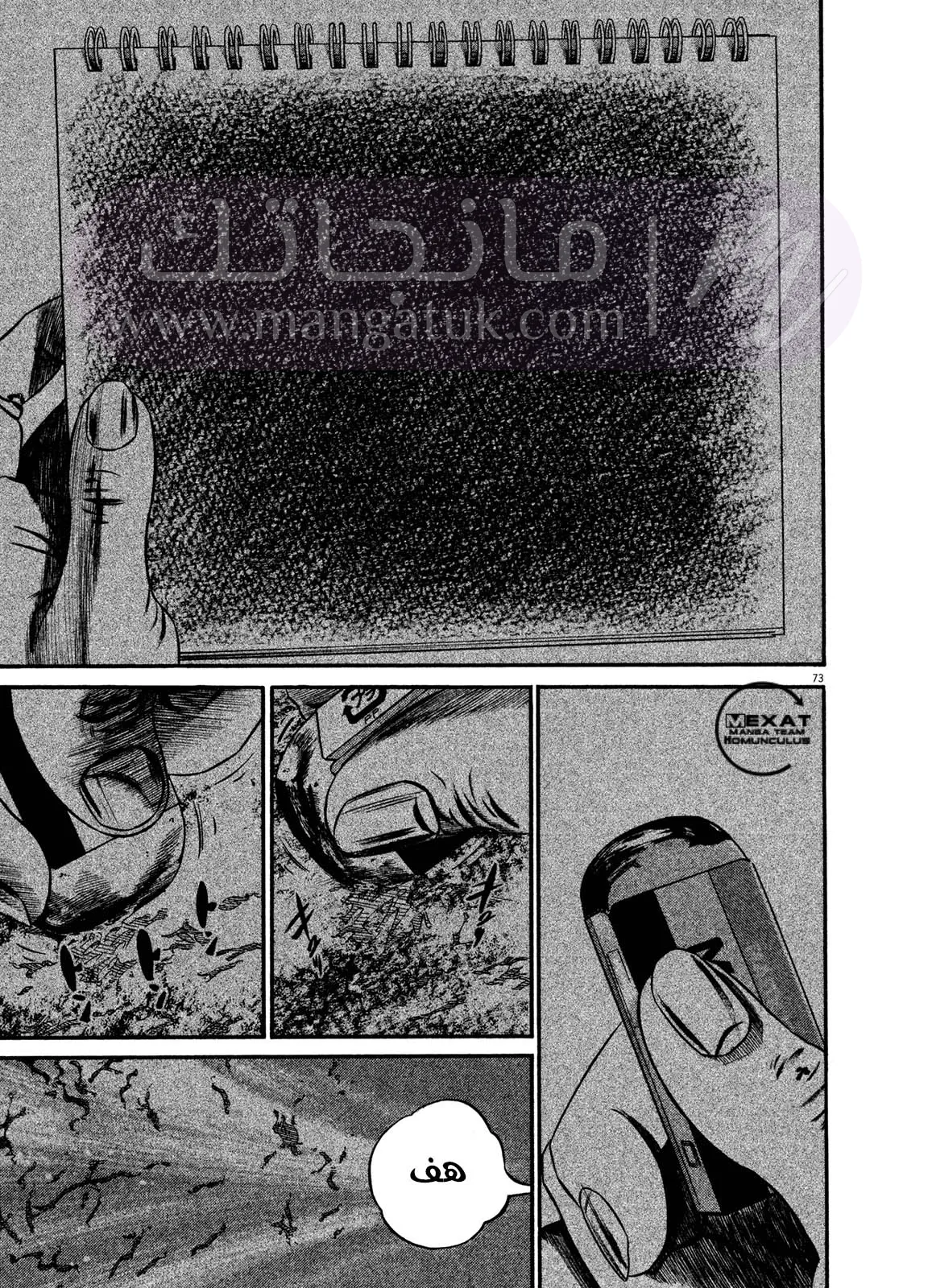 الصفحة 25