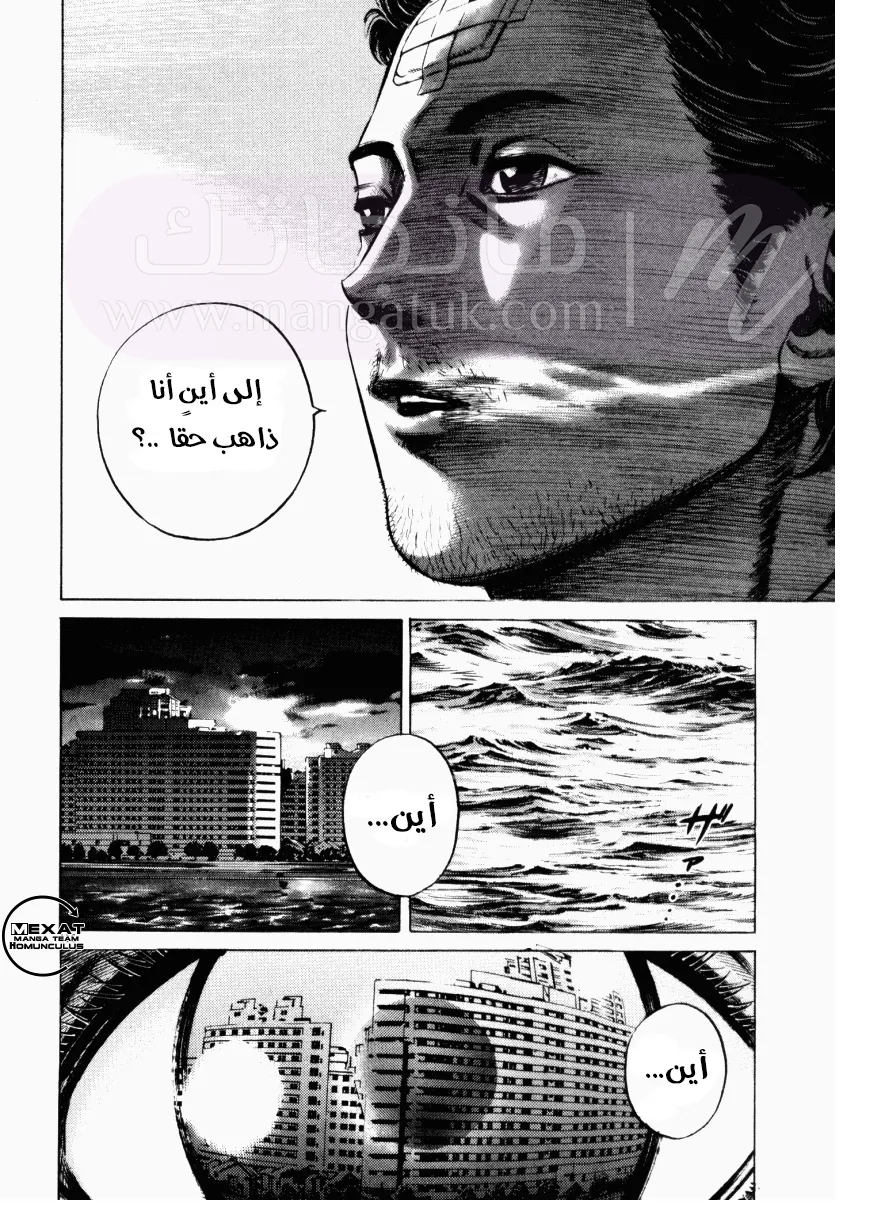 الصفحة 17