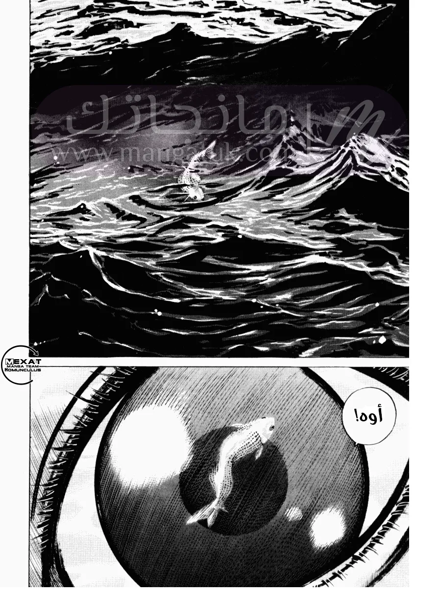 الصفحة 19