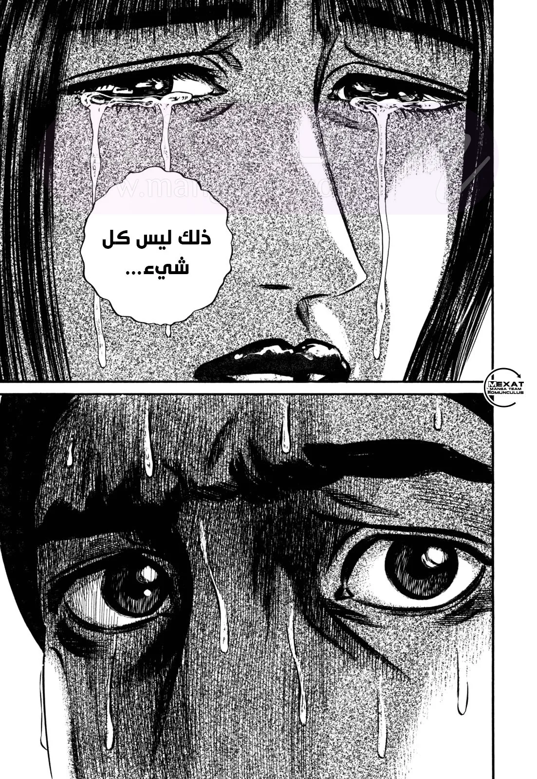 الصفحة 41