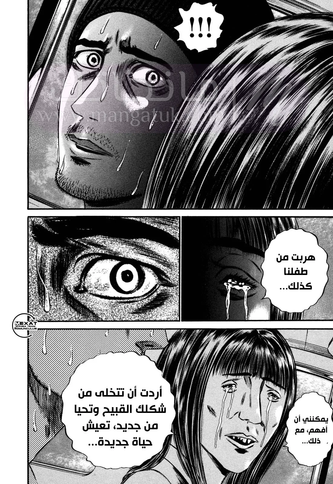 الصفحة 43