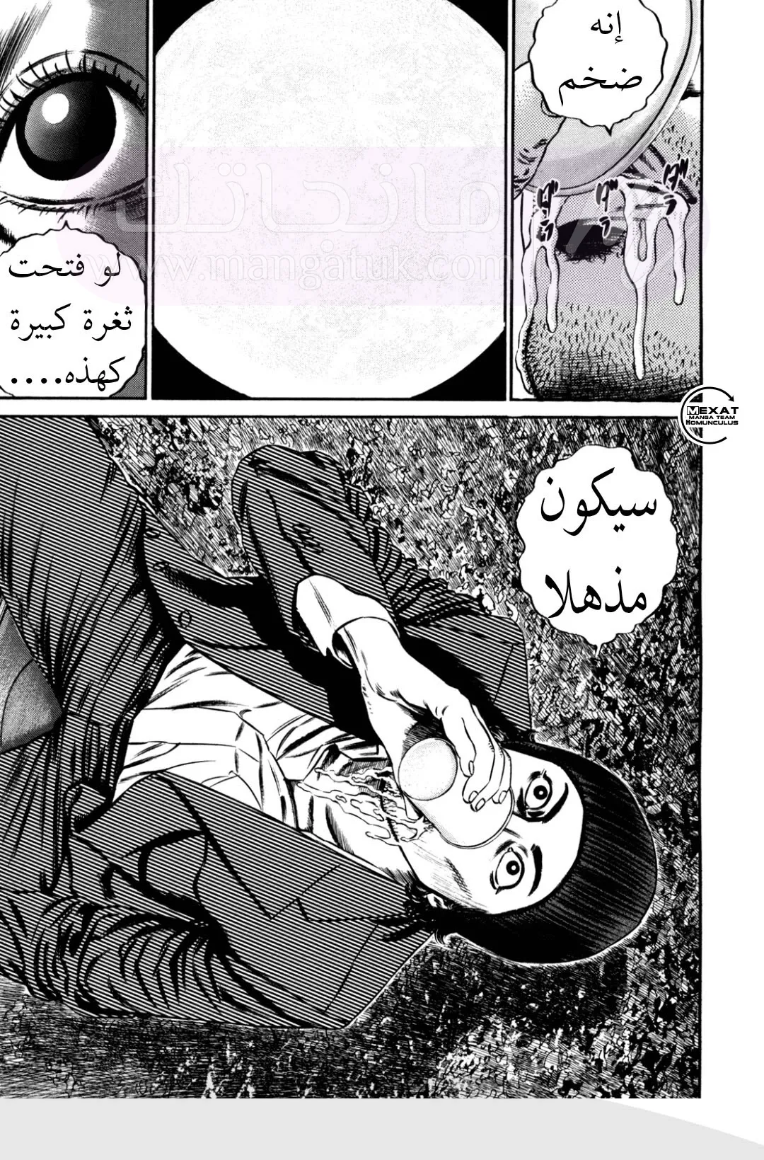 الصفحة 12