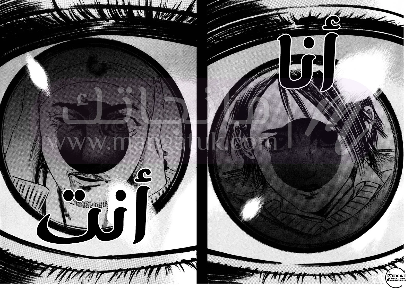 الصفحة 46