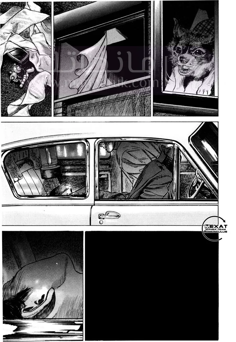 الصفحة 11