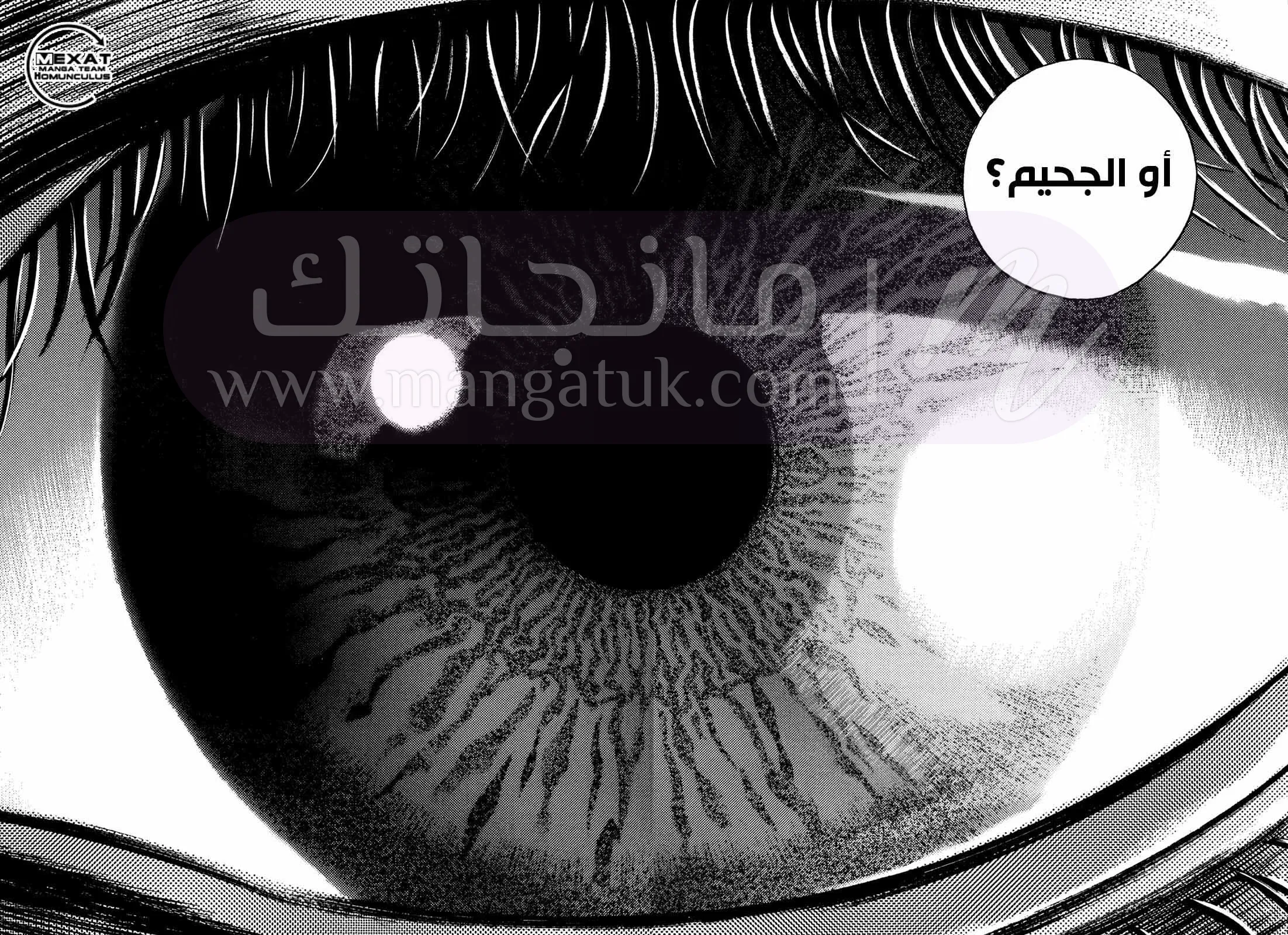 الصفحة 29