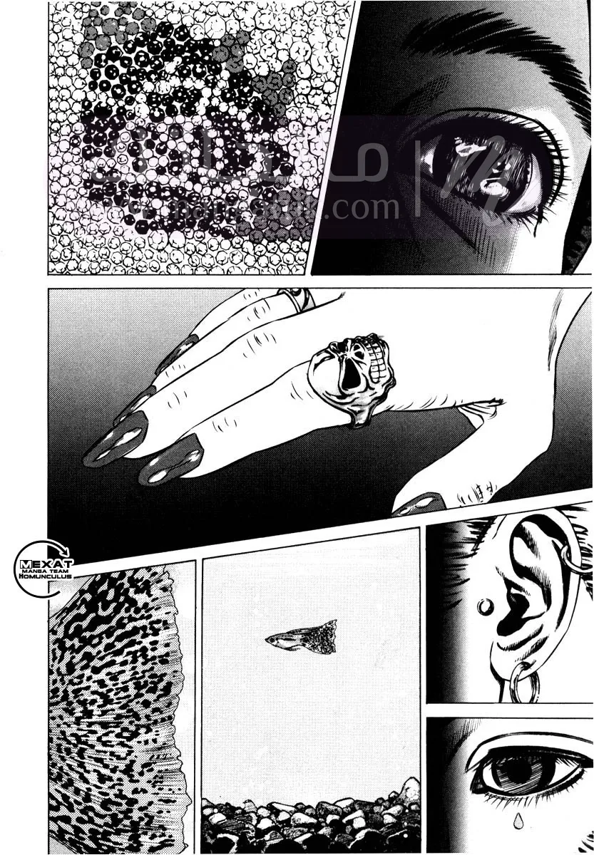 الصفحة 6
