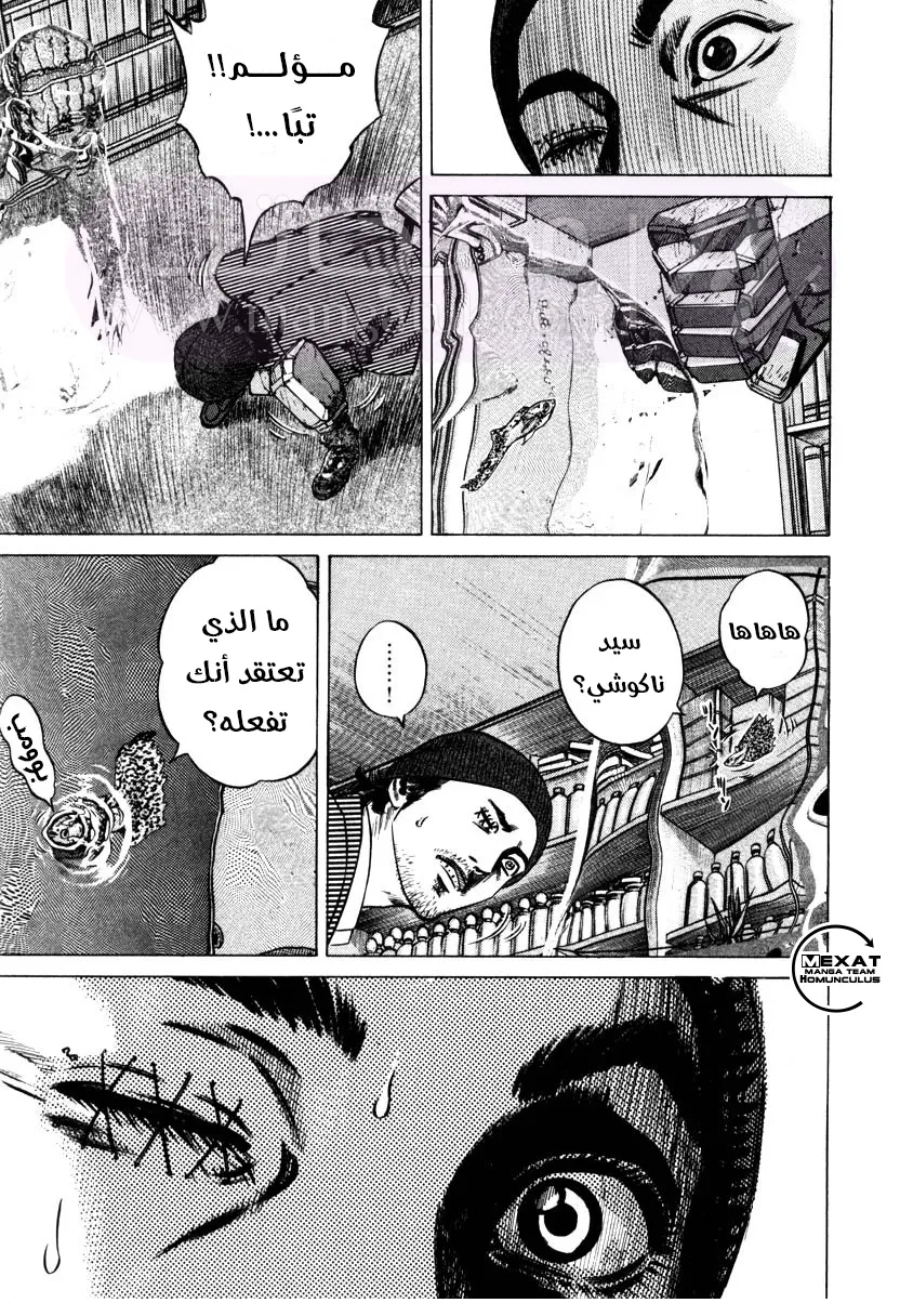 الصفحة 13