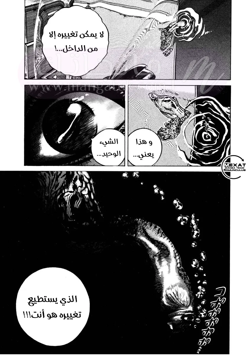 الصفحة 17