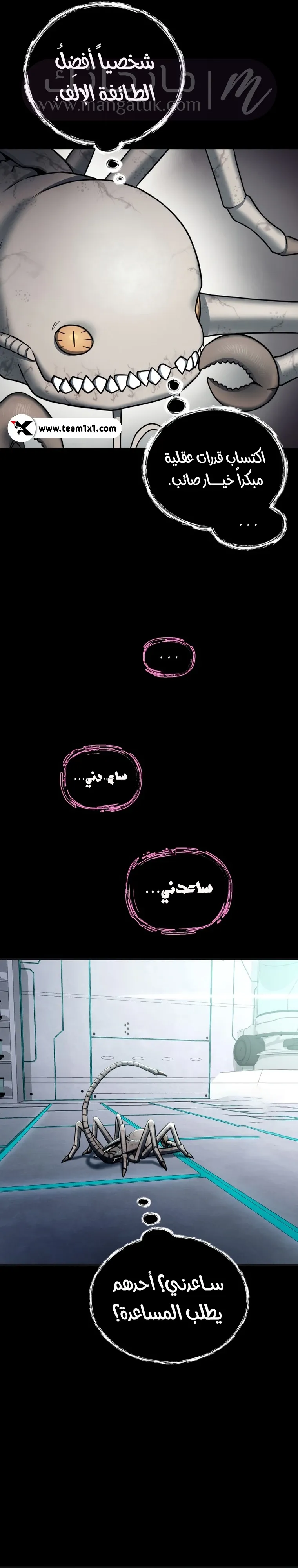 الصفحة 24