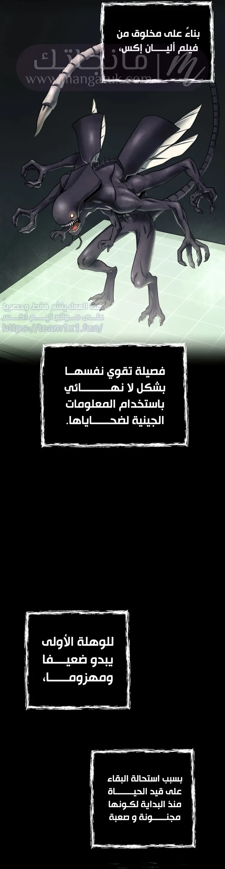 الصفحة 8