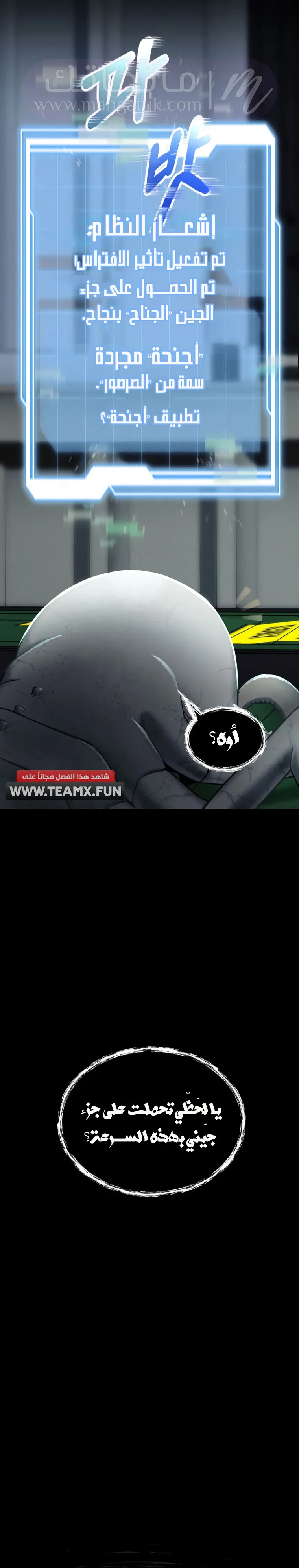 الصفحة 24