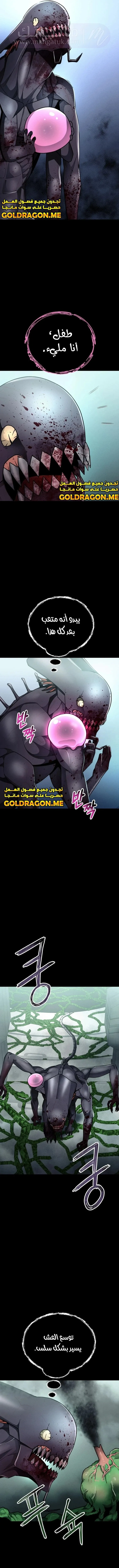 الصفحة 21