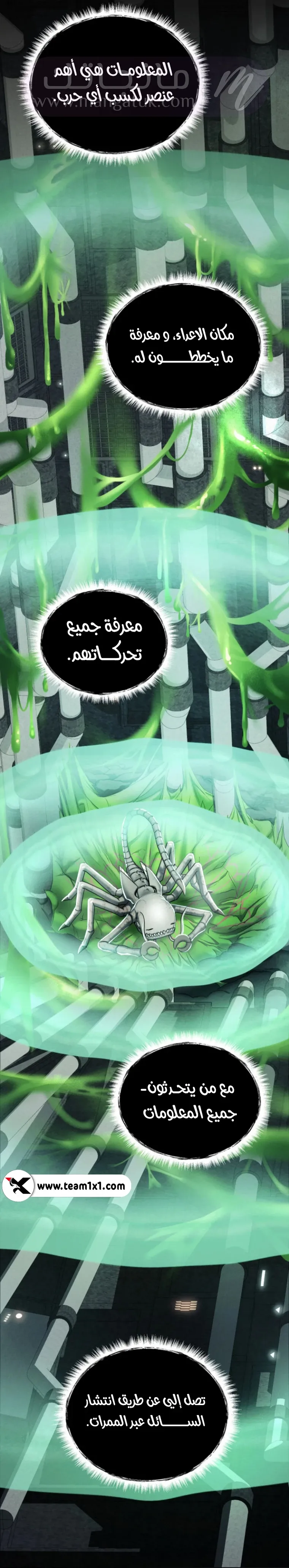 الصفحة 7