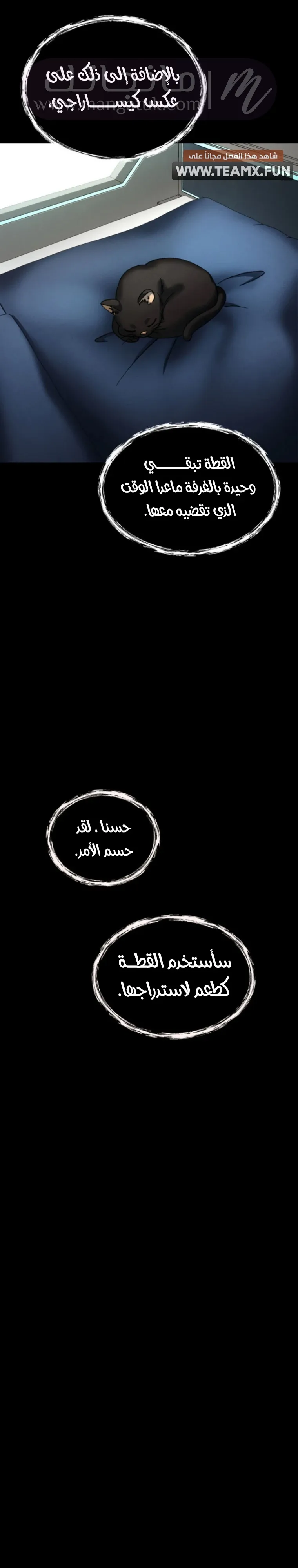 الصفحة 27