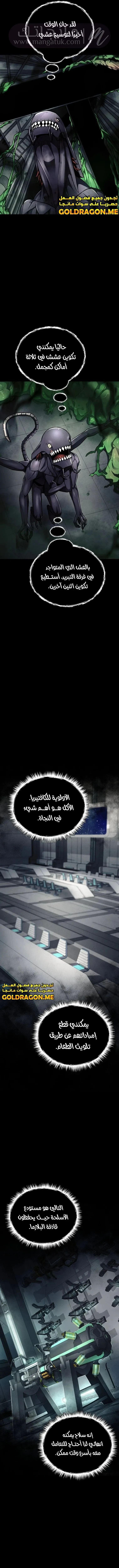 الصفحة 8