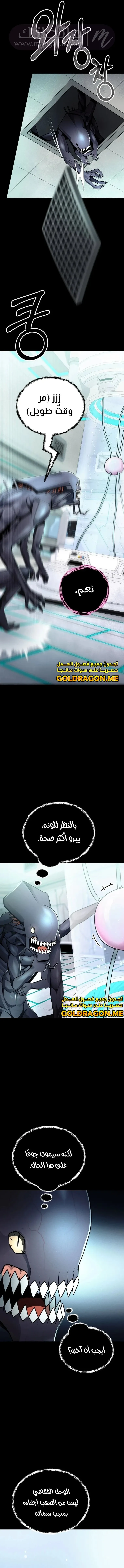 الصفحة 13