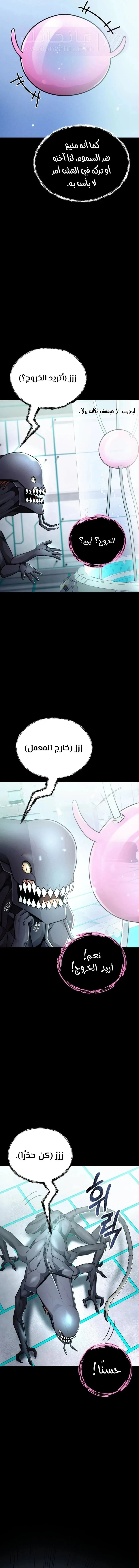 الصفحة 14