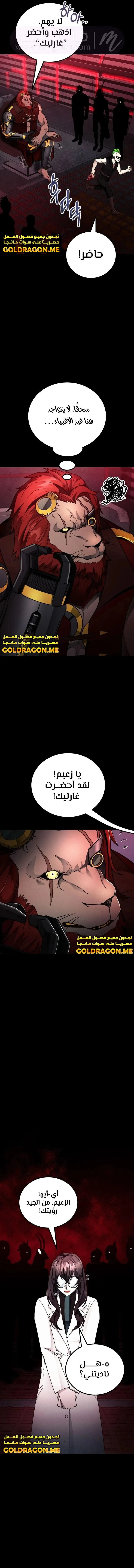 الصفحة 10