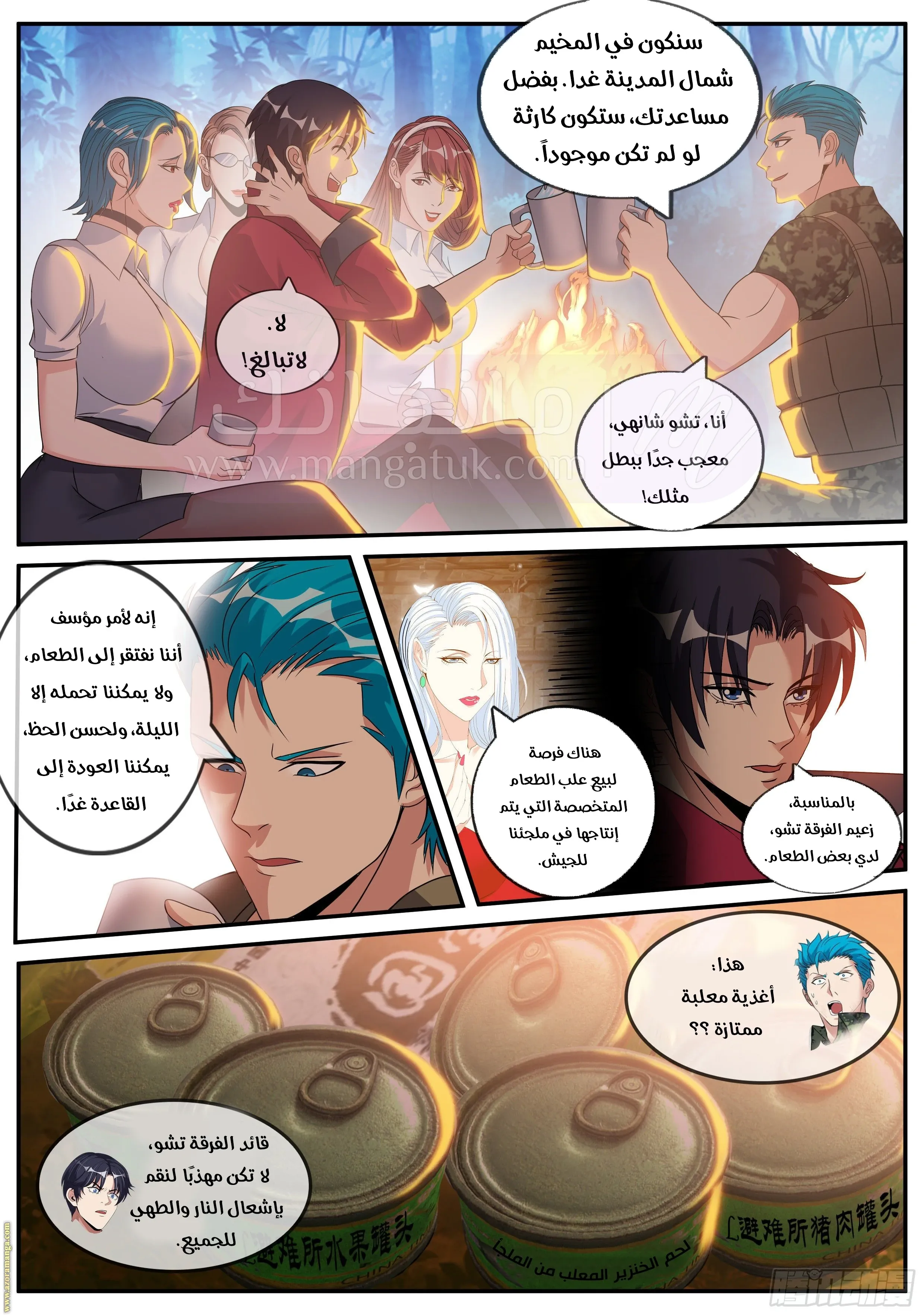 الصفحة 12