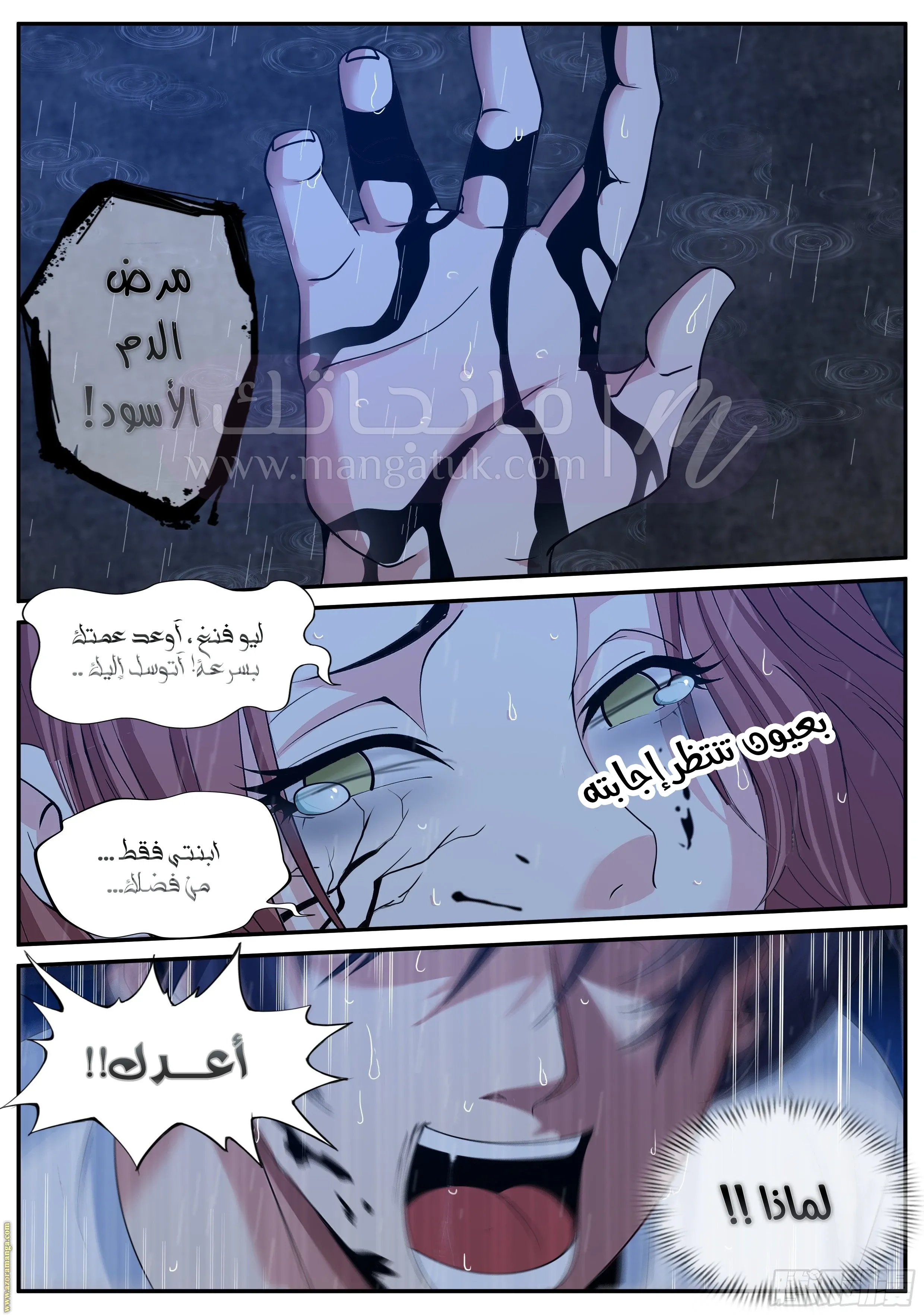 الصفحة 12