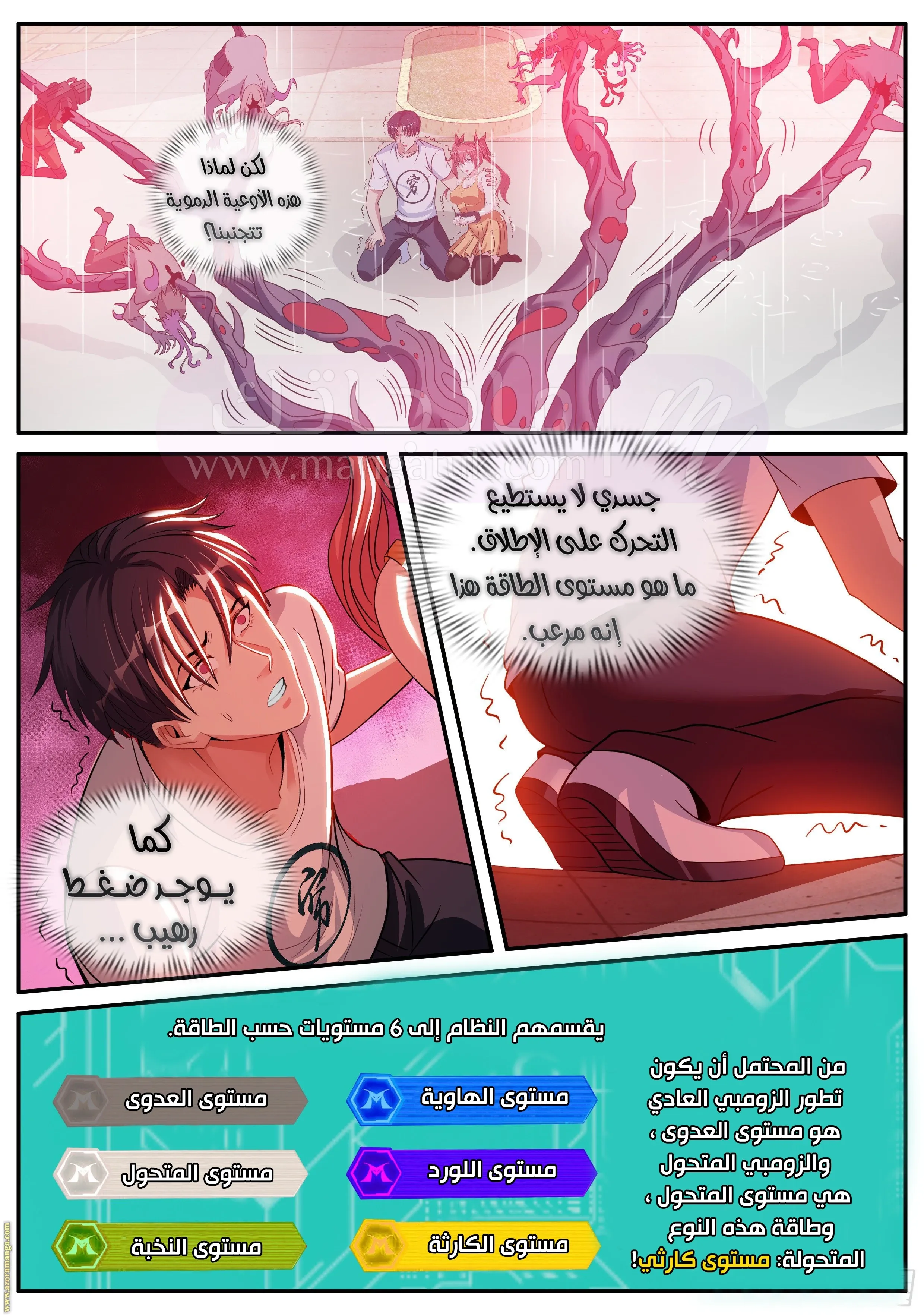 الصفحة 8