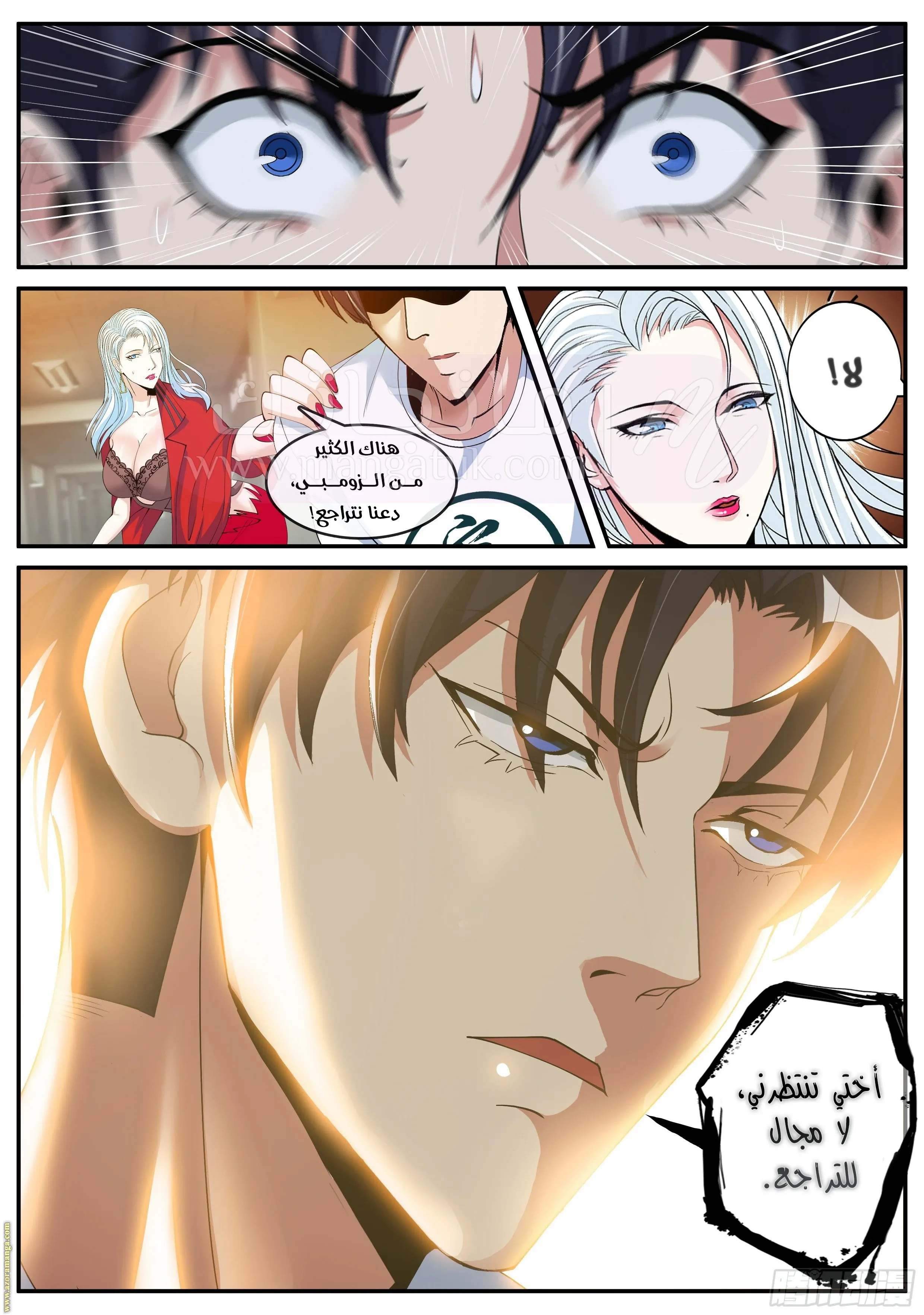الصفحة 12