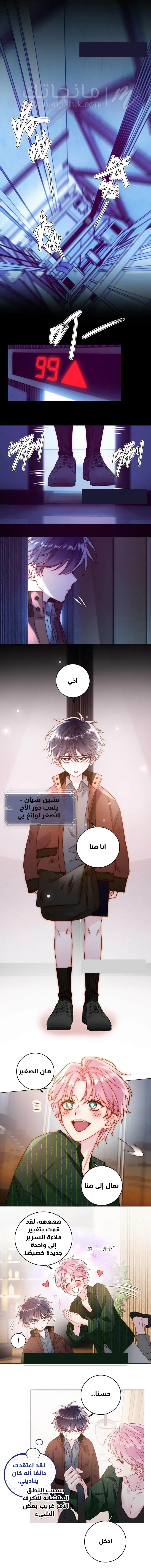 الصفحة 3