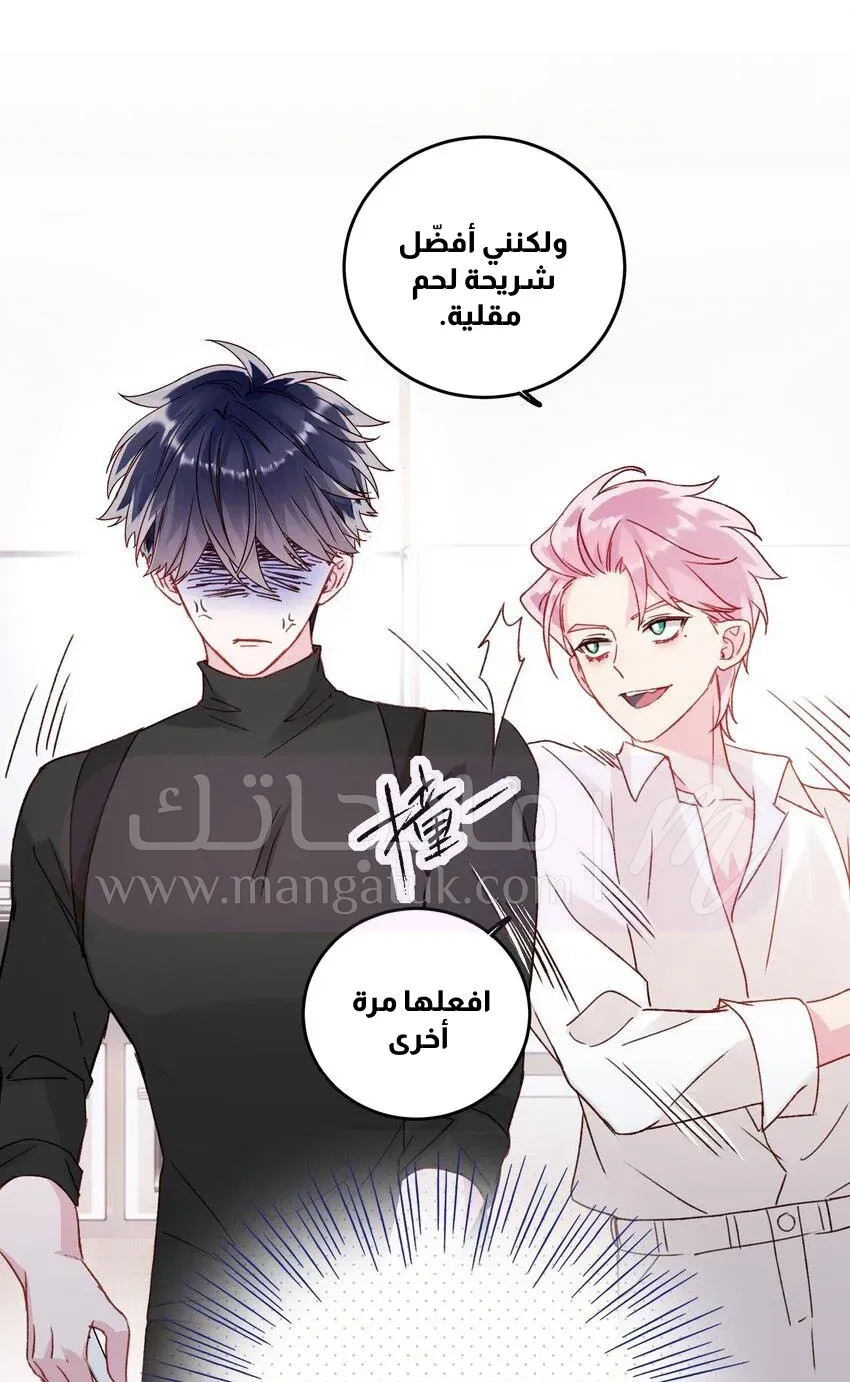 الصفحة 13