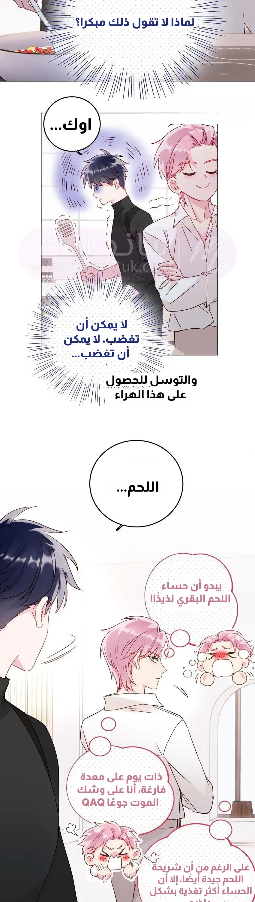 الصفحة 14