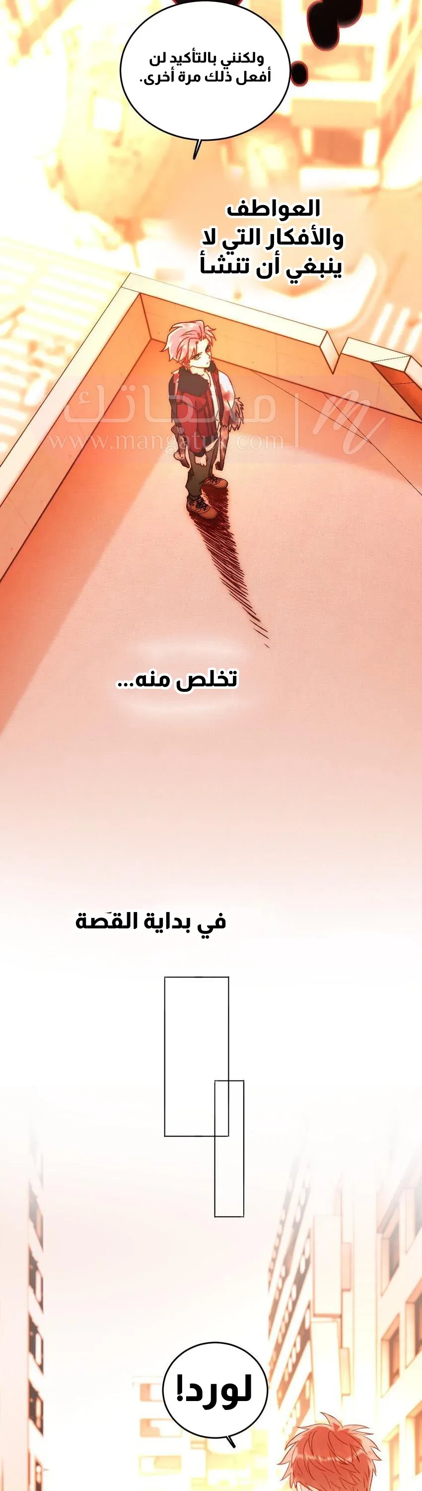 الصفحة 19