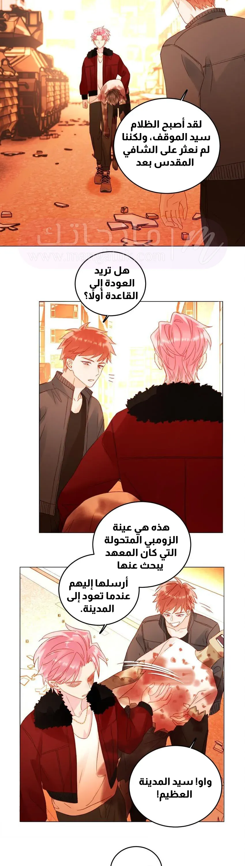 الصفحة 20