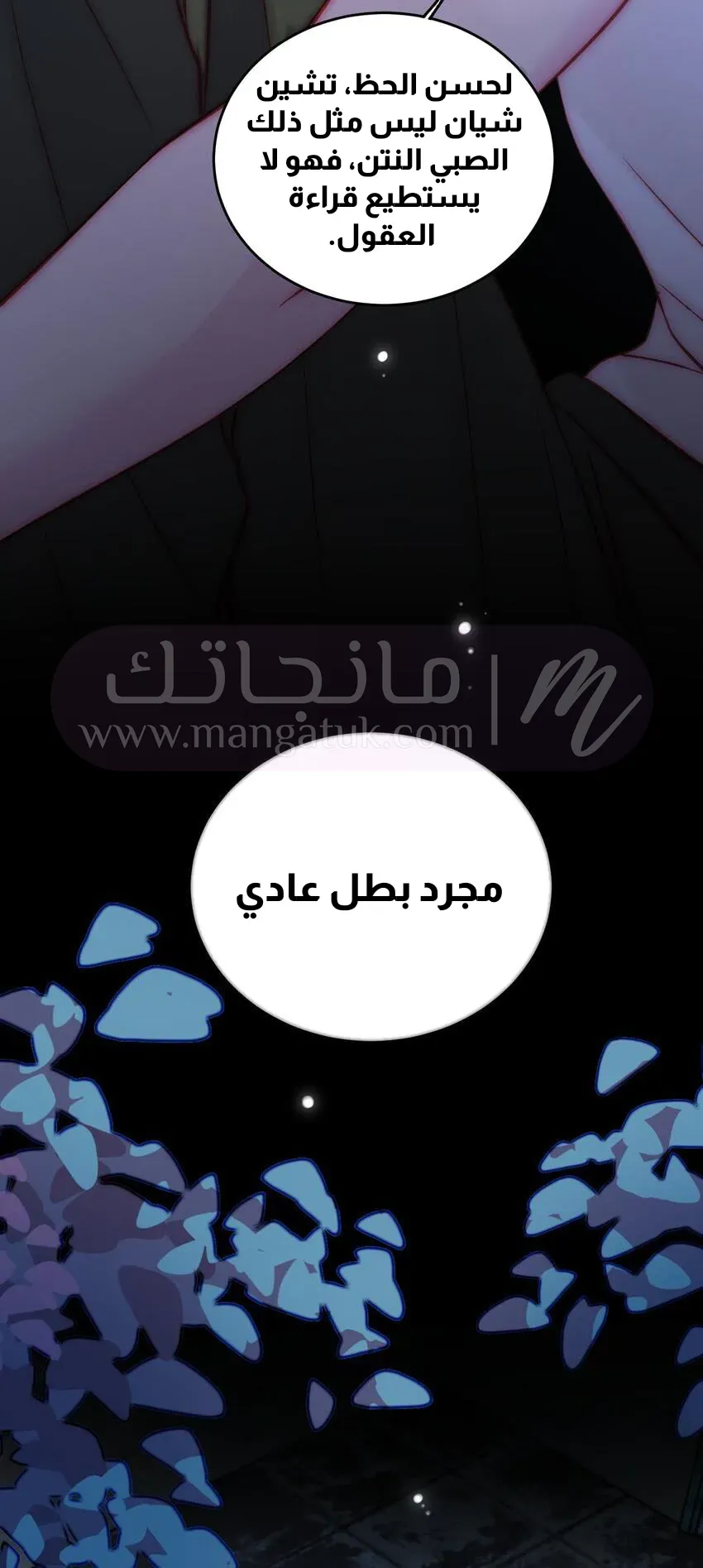الصفحة 26