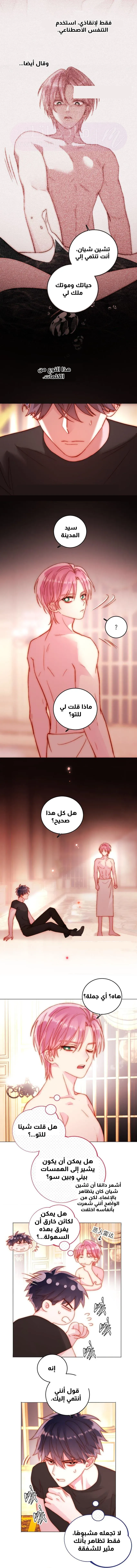 الصفحة 5