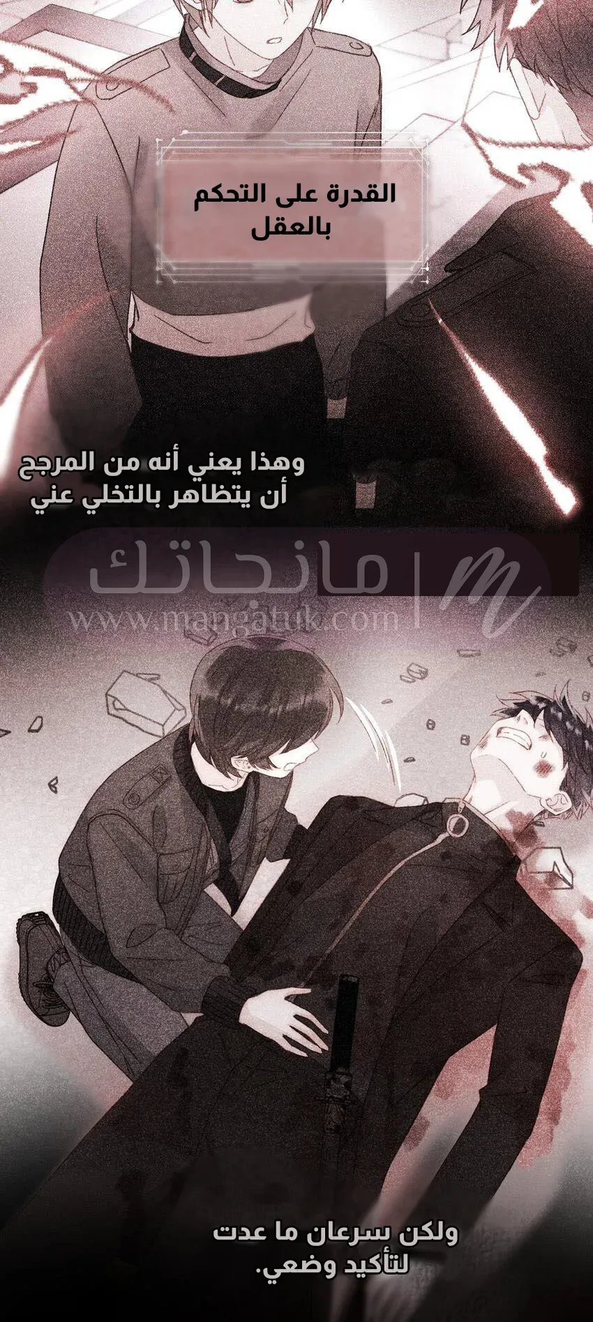 الصفحة 13