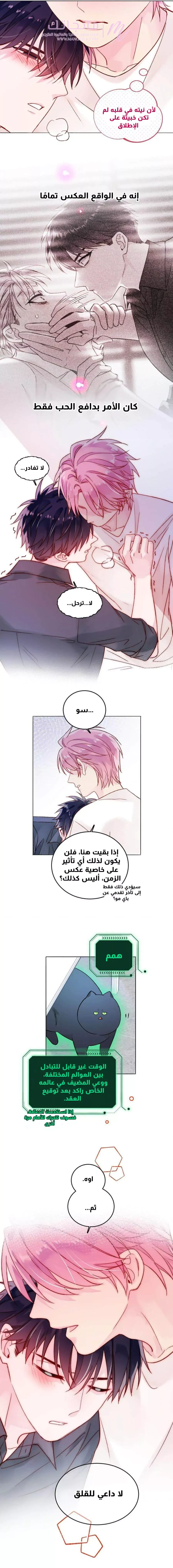 الصفحة 7