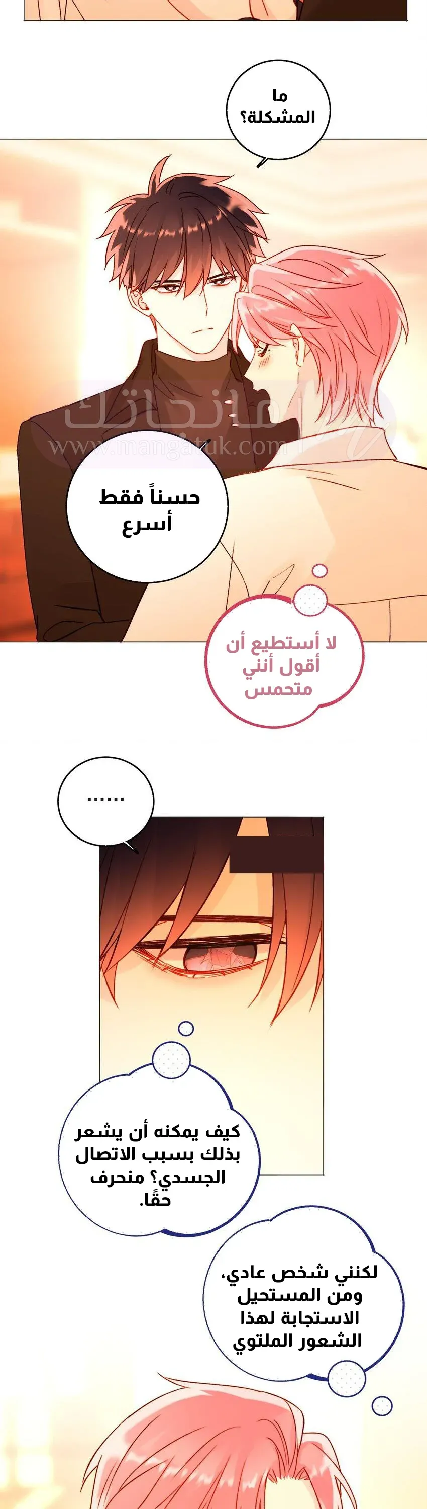 الصفحة 11