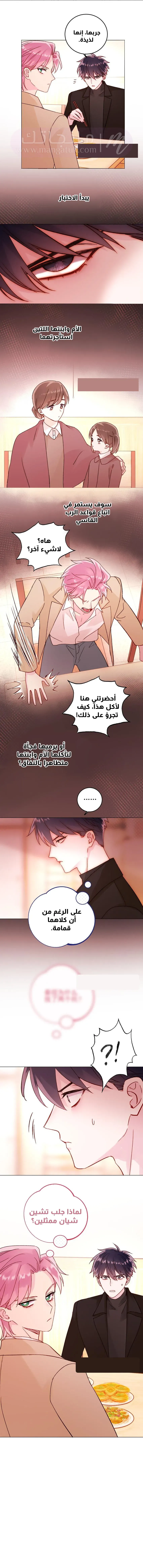 الصفحة 16