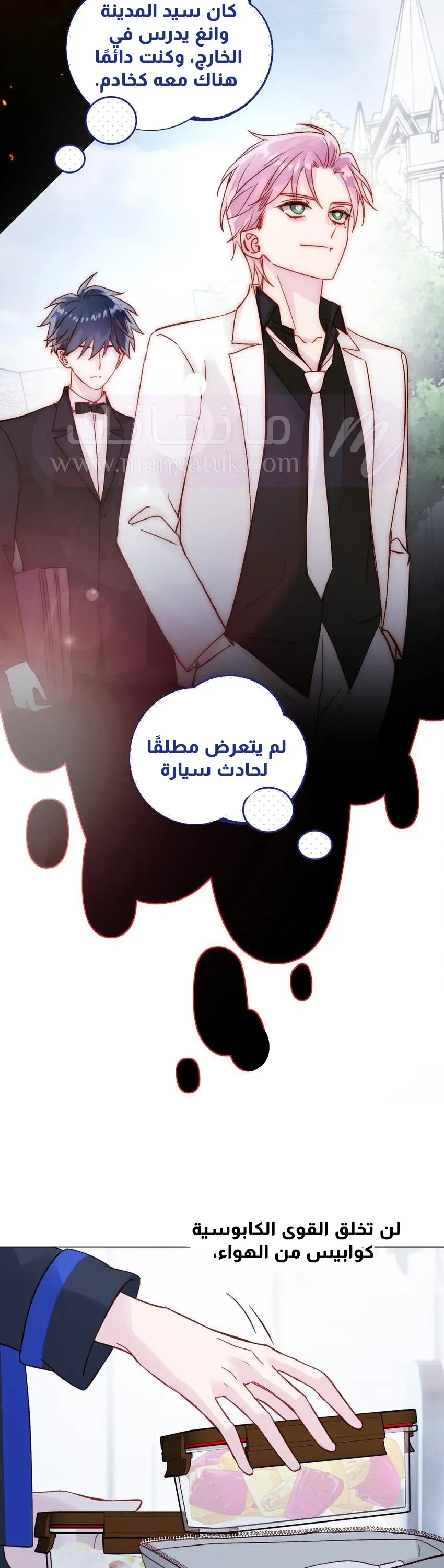 الصفحة 3