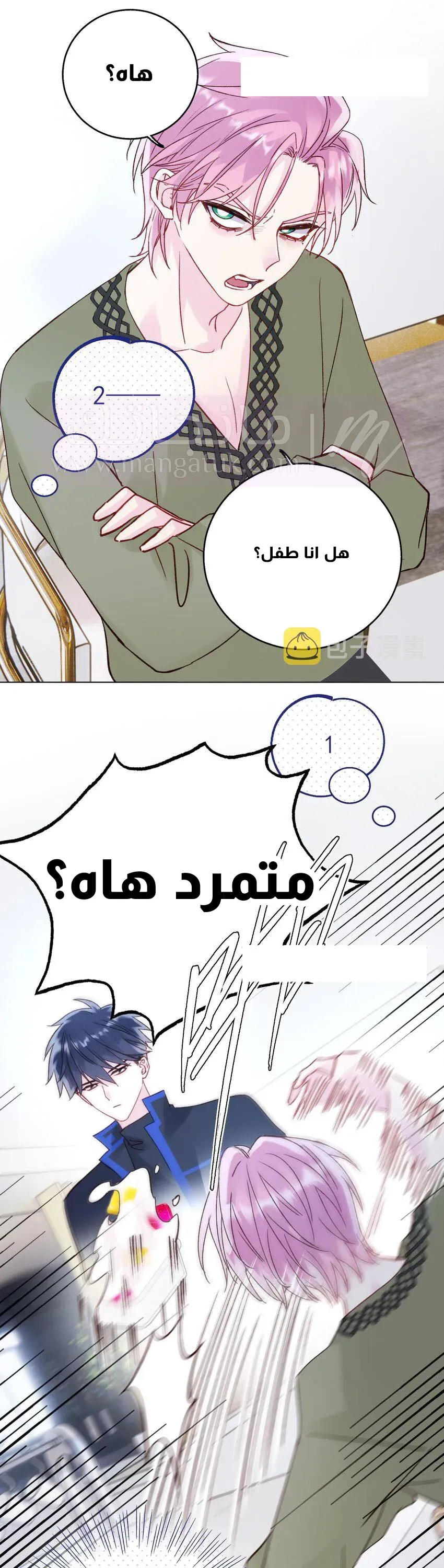 الصفحة 8