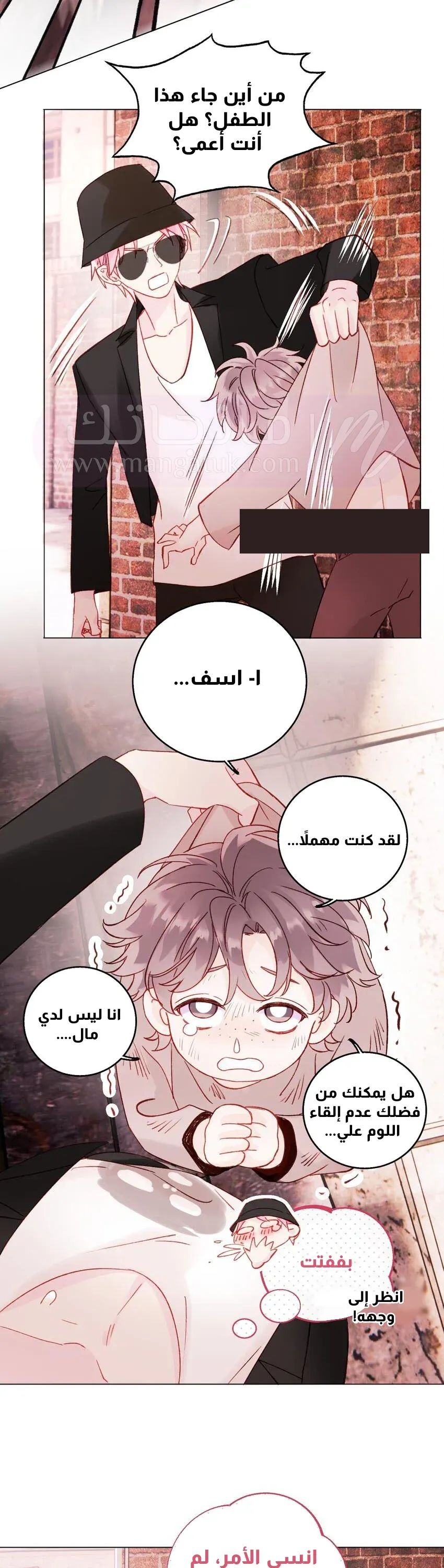 الصفحة 17